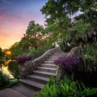 Private & Custom Tours