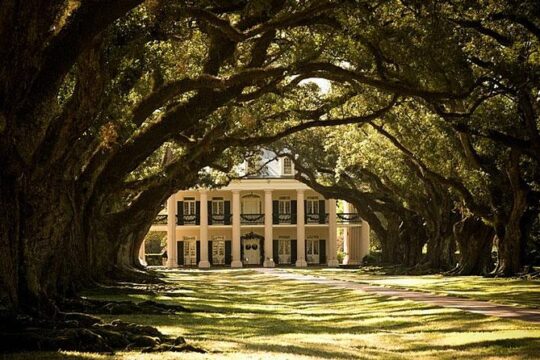 Oak Alley Plantation and Small Airboat Tour from New Orleans