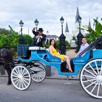 Private Sightseeing Tours