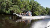 Down in the bayou