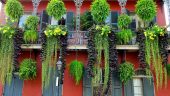 New Orleans private tour for 4 