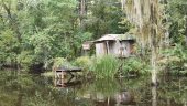 A trip down the bayou