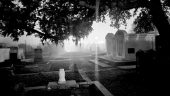 The best cemetery tour in NOLA