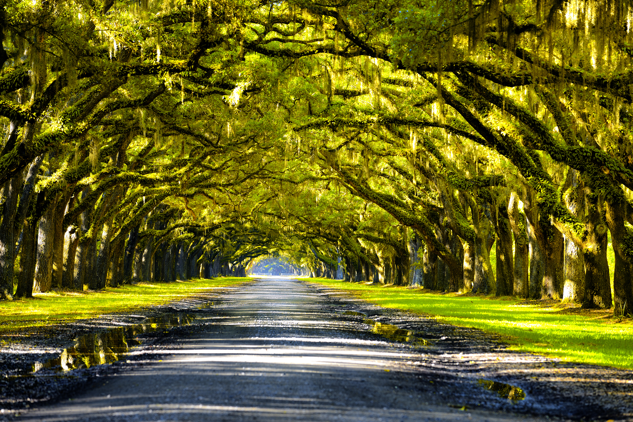 New Orleans’ Most Famous Plantation Tours (Updated July 2026)