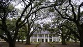 My amazing tour at Oakalley and Whitney Plantation