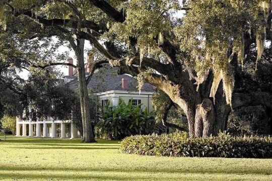 N'awlins Luxury: Destrehan Plantation and Airboat Tour
